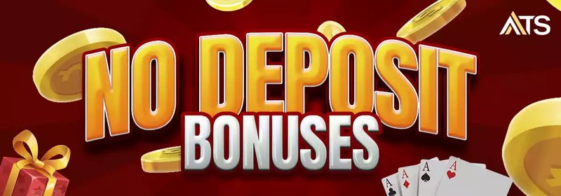 Allyspin Casino Erfahrungen aus Deutschland – Echte Spieler teilen ihre Meinung
