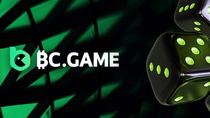 Complete Guide to BC.Game Registration Process -245000916